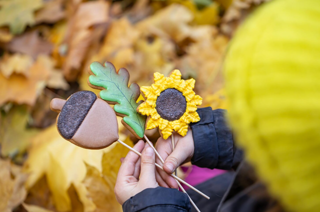 Народные приметы погоды на сентябрь напомнили россиянам