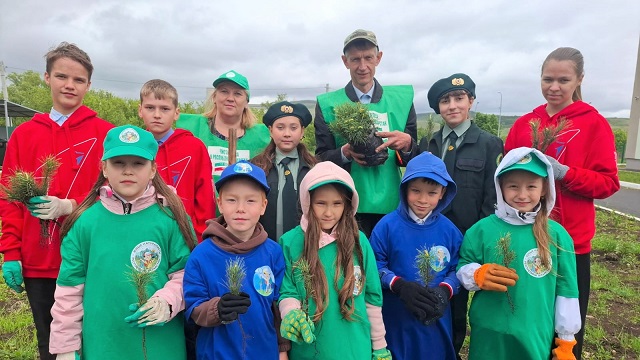 В Ютазинском районе высадили 15 саженцев кедра в честь юбилея Победы