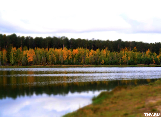 Экологи Казани выяснили причину мора рыбы в Лебяжьих озерах