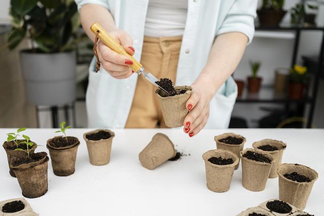Жителям Татарстана рассказали, какие растения можно пересаживать в мороз