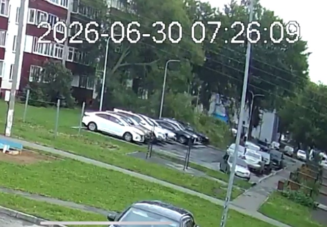 В Нижнекамске дерево рухнуло на припаркованные машины — видео