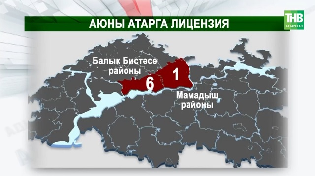 Мамадышта беренче аюны атканнар: республикада ерткычлар санын ничек көйлиләр? | Адымнар