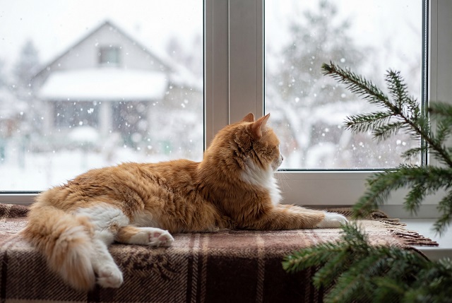 От -31 до -9 градусов: сильный ветер и резкие колебания температур ждут Татарстан