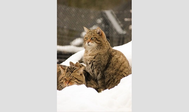 На Татарстан надвигаются туман и усиление ветра до 16 м/с