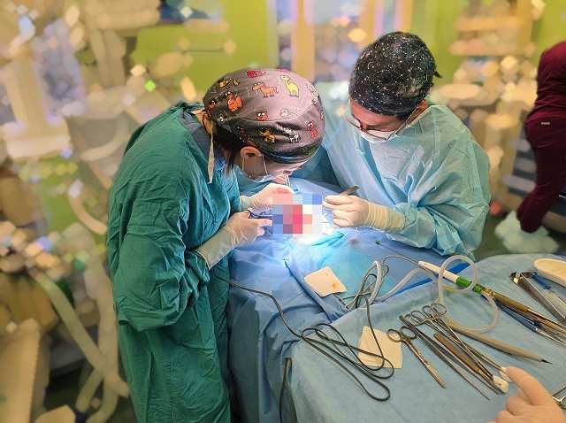 Операцию младенцу с редкой аномалией развития кишечника провели врачи ДРКБ в Казани