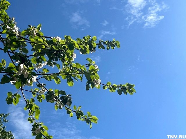 Синоптик дал прогноз на День Победы в городах Татарстана