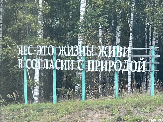 Спасатели Татарстана рассказали, как действовать при потере в лесу