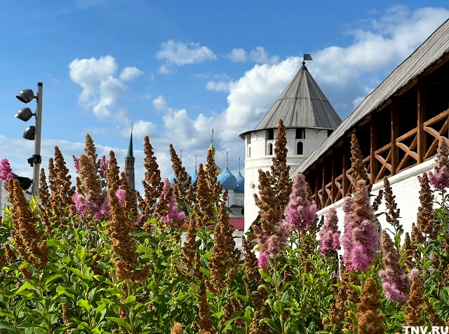 Надолго ли в Татарстан грядет 34-градусная жара, ответили в Гидрометцентре