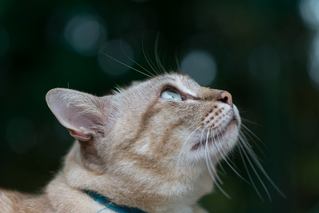 Грозовые дожди, но тепло до +24 градусов ожидаются в Татарстане в начале выходных