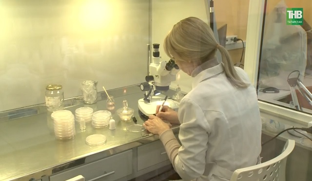 80 лет КазНЦ РАН: как удалось приумножить опыт выдающихся ученых и занять ведущее место на мировой арене