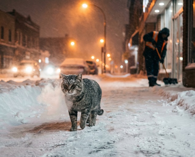 «Осадки придут снова в большом количестве»: чего ждать от февраля в Татарстане