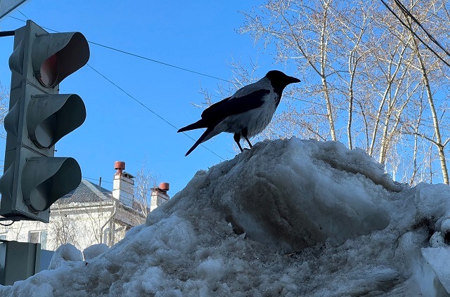 Весеннее половодье: жителям Татарстана рассказали, какие факторы влияют на подтопление