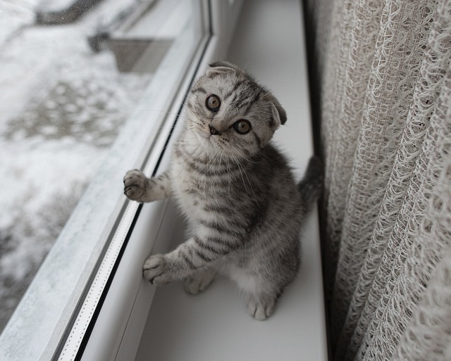 25 января в Татарстане похолодает до -24 градусов