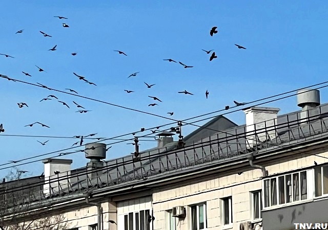 Стало известно, чем порадует погода в Татарстане в последний четверг марта