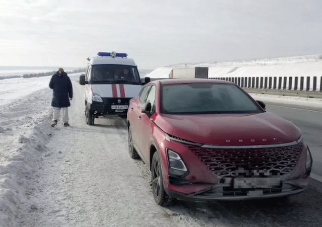 Спасатели МЧС помогли тюменской паре, застрявшей на морозе в Татарстане