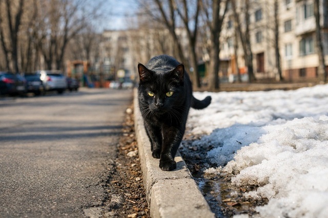 «Плюс» и ночью и днем: прогноз на последнюю субботу марта в Татарстане