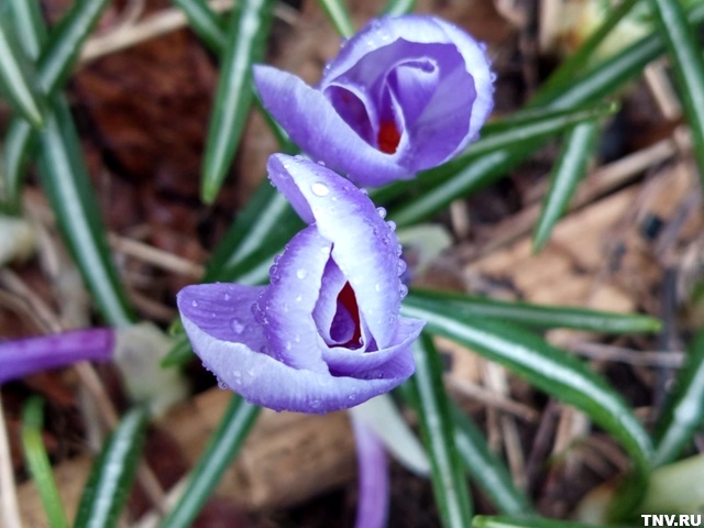 Ненастное начало недели ожидается в Татарстане