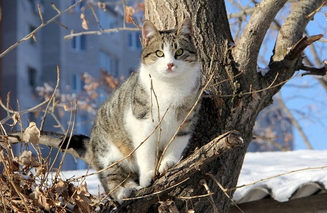 9 марта в Татарстане ожидаются порывистый ветер и потепление до +5 градусов