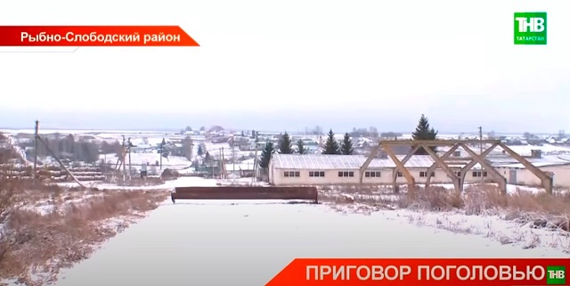 В одном из районов РТ очаг бруцеллеза: инфекция не только у животных, но и у людей