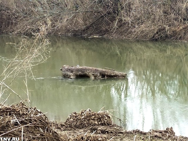 Вятка продолжает подъём, остальные реки Татарстана уходят на спад