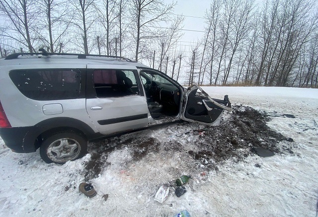 Избивший собутыльника кирпичом житель Татарстана похитил его и устроил смертельное ДТП