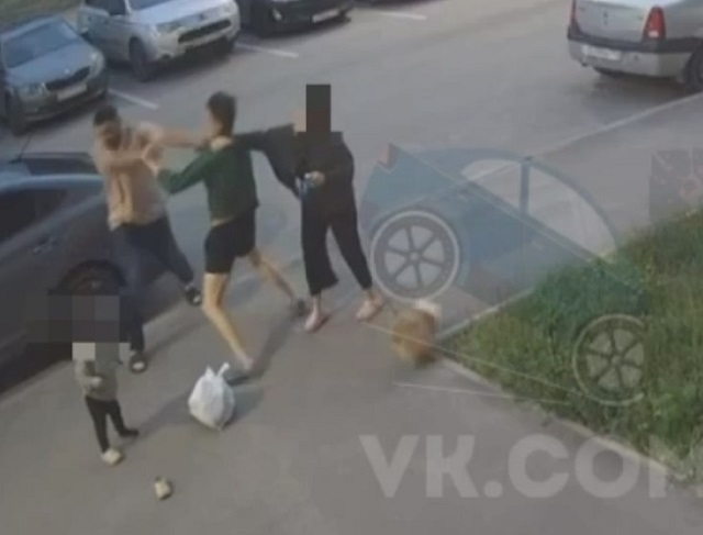 Стали известны подробности потасовки мужчины с подростком из-за собаки в Осиново