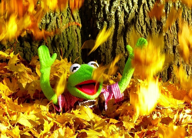 Заморозки до нуля градусов накроют Татарстан в ближайшие сутки