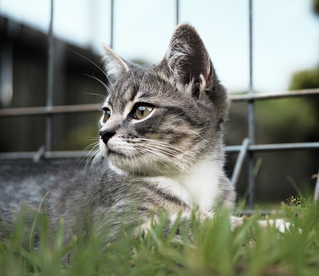 Похолодает до +8 градусов, но осадки прекратятся: прогноз синоптиков Татарстана