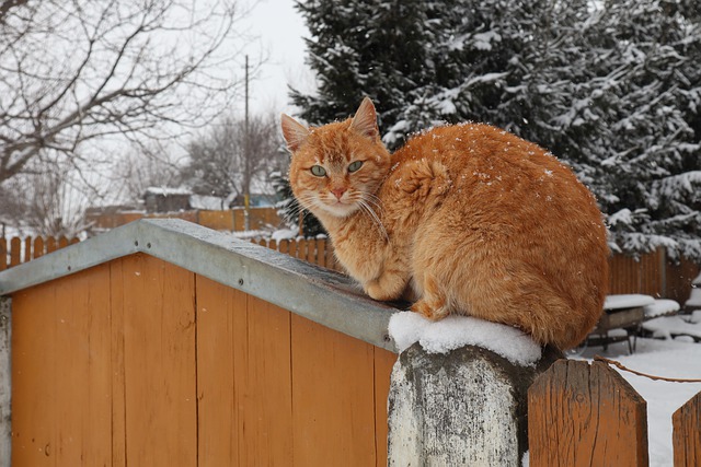 18 февраля на Татарстан обрушится порывистый ветер до 21 м/с