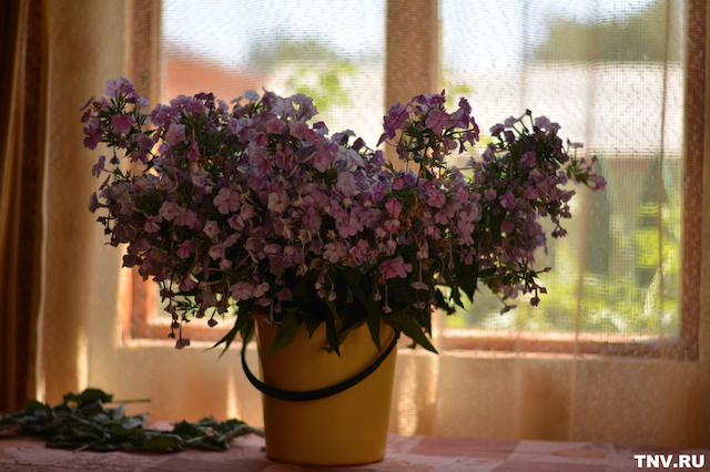 Капризы погоды: стало известно, когда прекратятся дожди в Татарстане