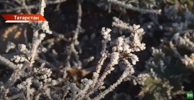 Ледяной ветер и метель накроют Татарстан в середине недели