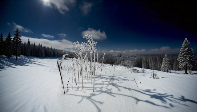 Опасно холодно: морозы до -43 градусов анонсировал Гидрометцентр