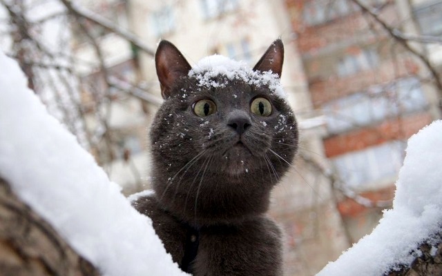 Жителей Татарстана предупредили об ухудшении погодных условий в начале недели