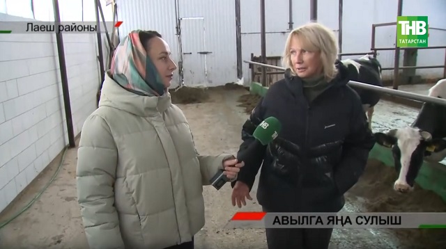 Казаннан авылга кайтып, ферма салган табиблар гаиләсе | Адымнар