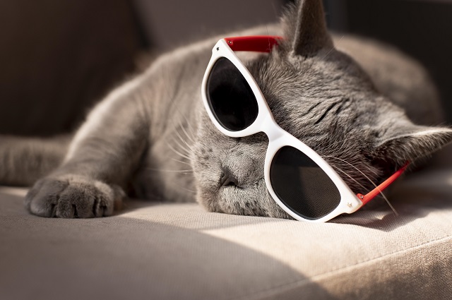 Жара до +27 градусов нагрянет в Татарстан в конце рабочей недели