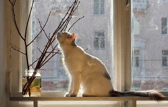 Доцент КФУ предупредил о «капризах» погоды из-за перестройки на летний лад