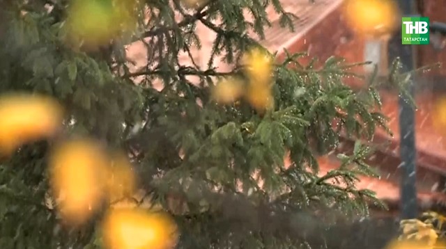 Татарстан простился с бабьим летом: когда ждать первого снега, и чему рады дачники?