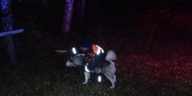 Компанию заблудившихся женщин вывели из леса спасатели в Набережных Челнах