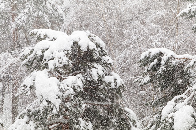 Кардинальные изменения в погоде надвигаются на Татарстан
