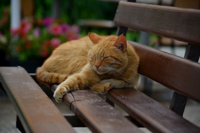 Знойное завершение рабочей недели предрекли синоптики Татарстану