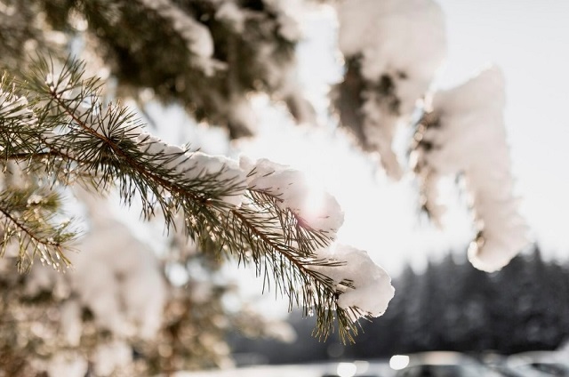 14 января в Татарстане погодных сюрпризов не предвидится
