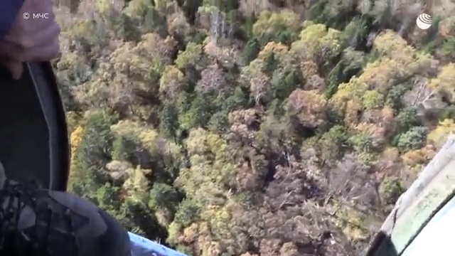 В сети появились кадры с места падения самолёта Ан-26 под Хабаровском