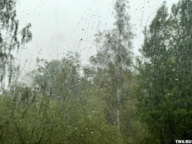 Гидрометцентр объяснил причину осенних осадков в июне