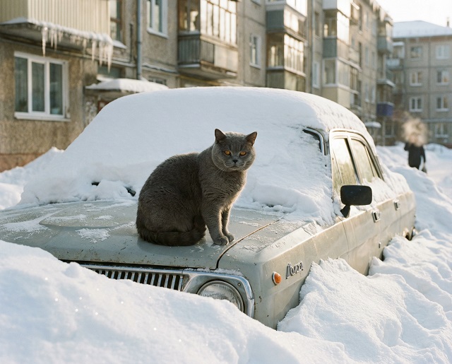 26 февральгә һава торышы билгеле