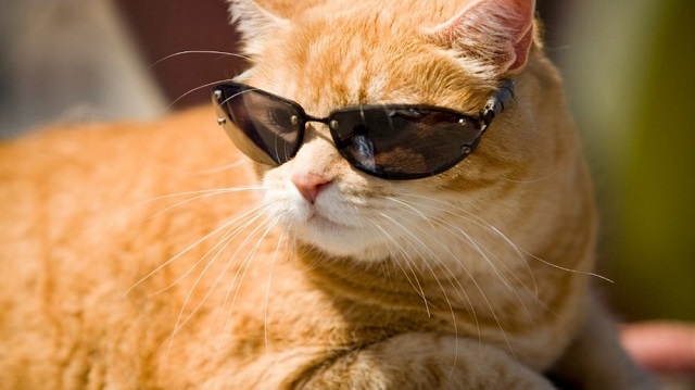 3 августа зной в Татарстане достигнет +30 градусов