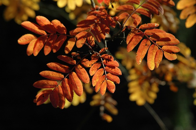 Невероятная жара до +29 градусов накроет три округа России