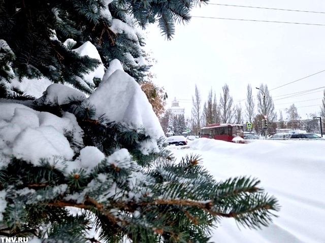 «Никто не вернется в 2024-й»: метеоролог оценил шансы на рекордные сугробы в Казани