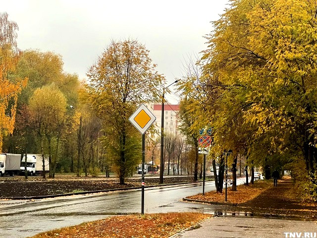 Тепло до +10 градусов и дожди ожидаются в Татарстане