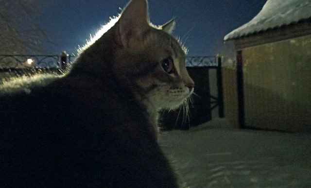 Снегопады и метели накроют Татарстан 19 января