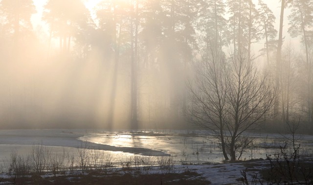 Гидрометцентр Татарстана предупредил об интенсивности метеорологических явлений
